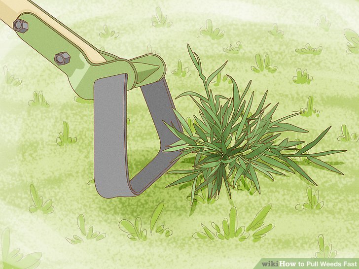 How to Pull Weeds Fast One Perfect Room