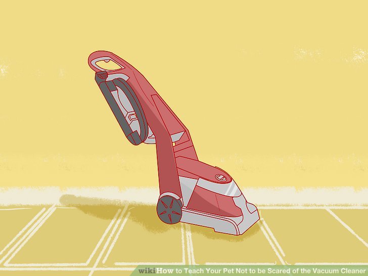 How to Teach Your Pet Not to be Scared of the Vacuum Cleaner