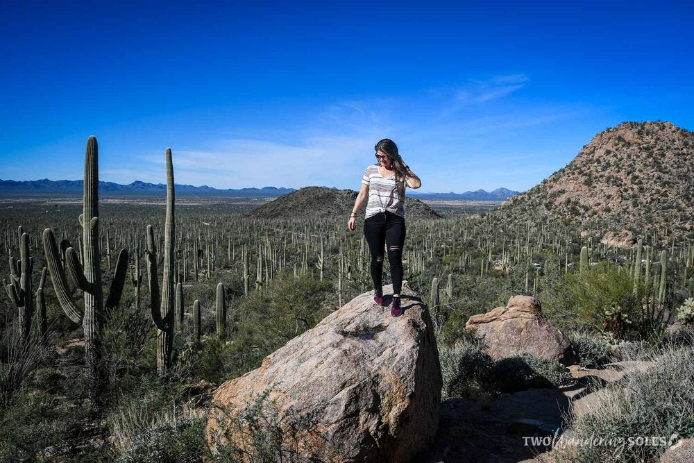 38 Fun Things to Do in Tucson, Arizona