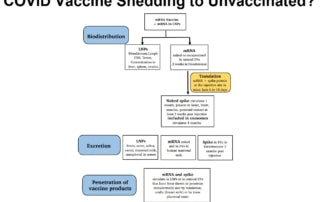 Recent Studies Suggest COVID-19 Vaccinated People are Infecting Unvaccinated People