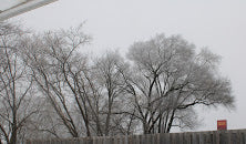 That was our weather today, freezing fog.  Everything was gray and still and the fog froze and clung to the branches of the trees in back of the house.  I didn't have to go anywhere today (when do I ever these days?) but the street looked wet and...