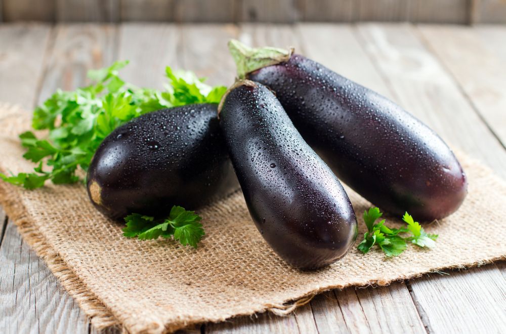 Can You Freeze Eggplants? Here’s How To Do This Right