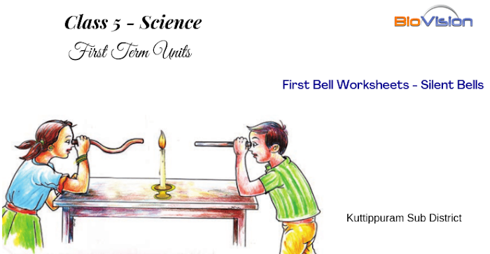 Class 5 Basic Science - First Term Units - Silent Bells - Worksheets