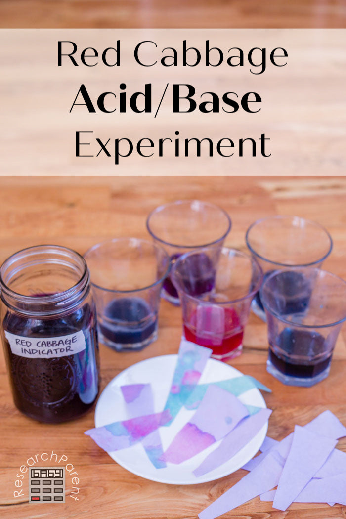 Red Cabbage Acid/Base Experiment
