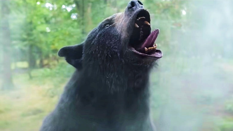 The Wildest Moments Of Cocaine Bear, Ranked