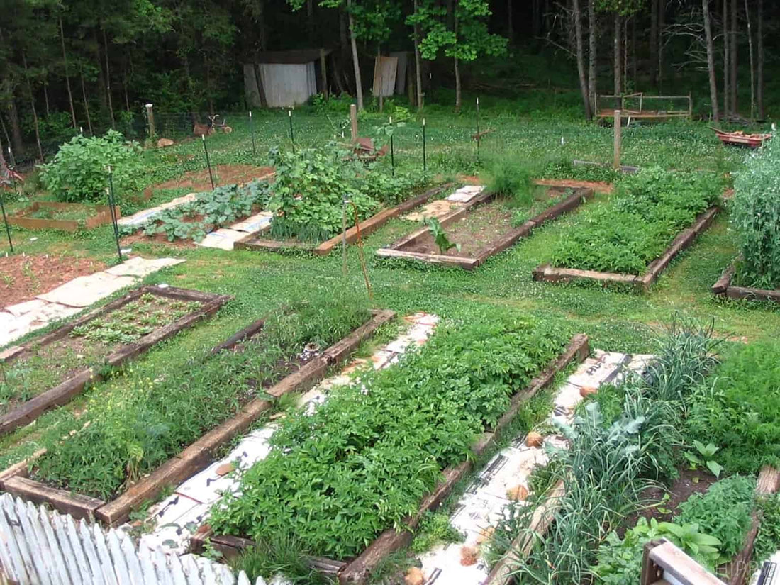 24 Free Raised Garden Bed Ideas To Maximize Your Space