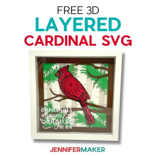 Cardinal SVG: Free 3D Shadow Box for Cricut!