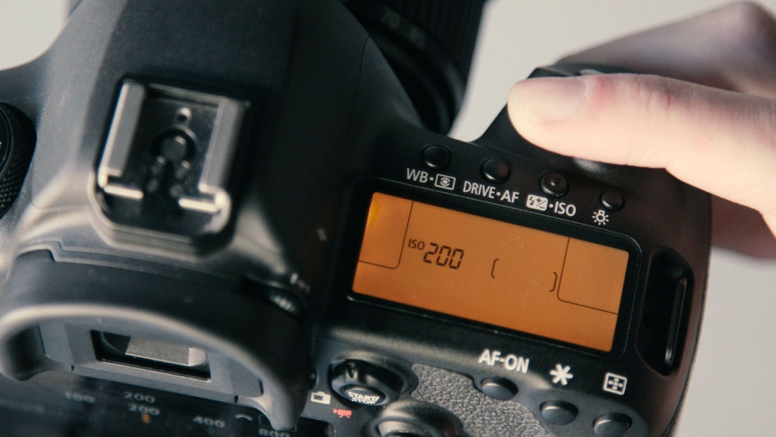 What Is ISO in Photography? A Guide to ISO Settings on Your Camera