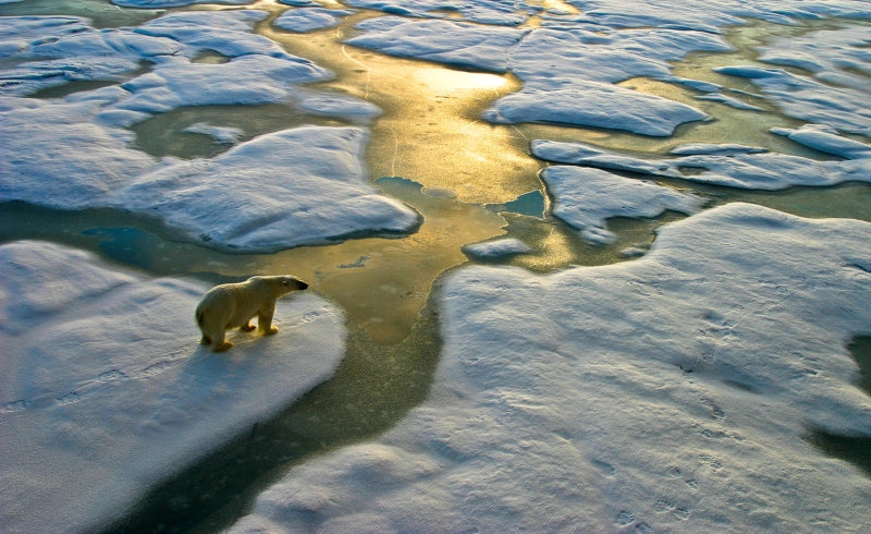 Small Climate Changes Can Have Devastating Local Consequences – It Hap ...