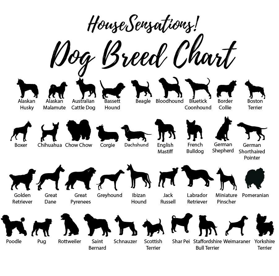 Pick Your Breed Personalized Custom Dog Sign